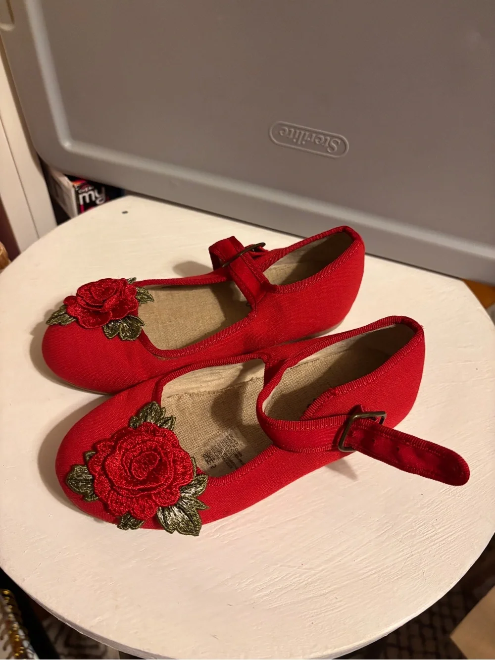 Red Rose Mary Jane Kids Shoes with Embroidered Flower